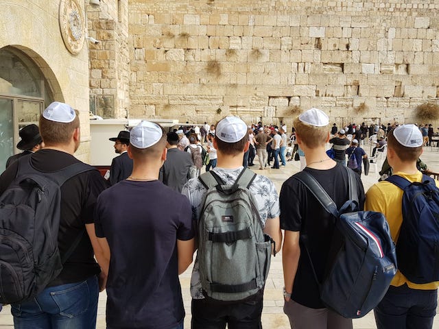 WhatsApp Image 2018 11 11 at 17.59.213