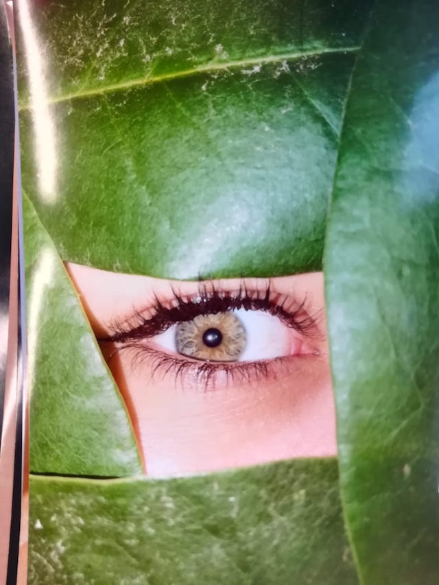 WhatsApp Image 2020 01 24 at 14.37.531