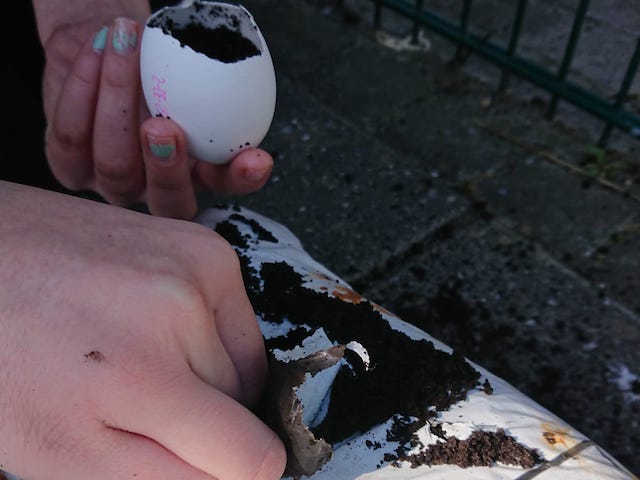 8e139fb2 b7f9 4cba ac3b e1d5cf28dfa8