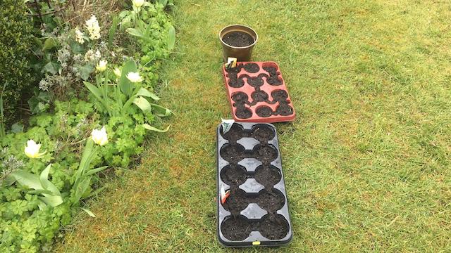 PHOTO 2020 04 02 11 21 10